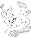 coloring pages easter bunny