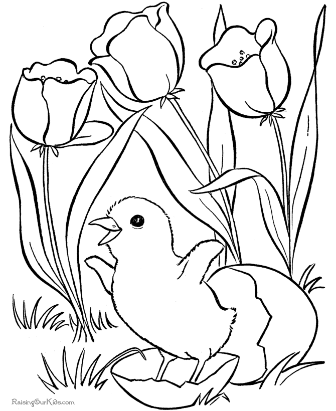 coloring pages easter chicks. coloring pages of easter.