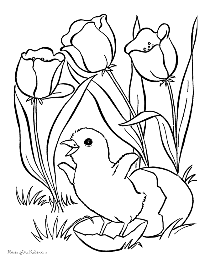 coloring pages of easter pictures. Easter flower coloring pages