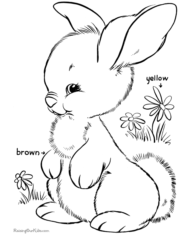 easter bunny coloring pages for preschool - photo #3