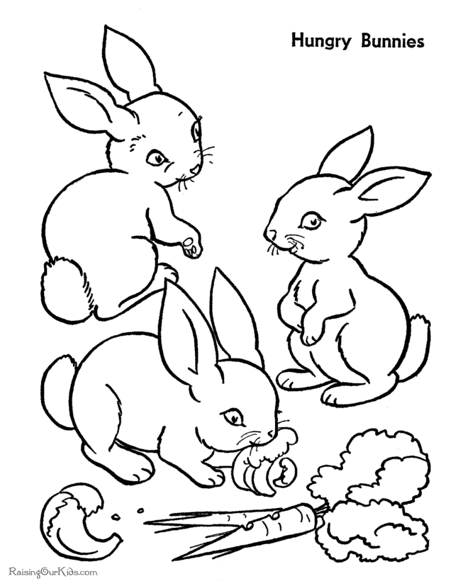Bunny Rabbit Coloring Pages Printable