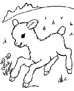 Coloring pages Easter lambs